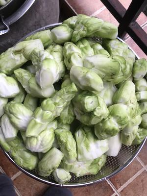 腌制麻辣儿菜