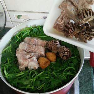 陈皮陈肾西洋菜汤