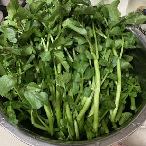 西洋菜汤