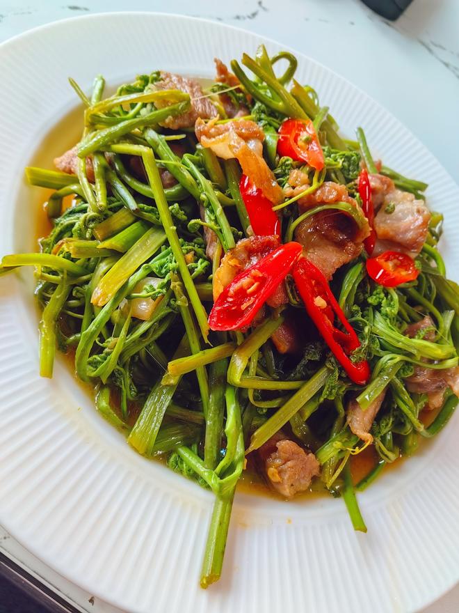 <蕨菜炒肉>，欣小厨 ?