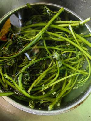 &lt;蕨菜炒肉&gt;，欣小厨 ?