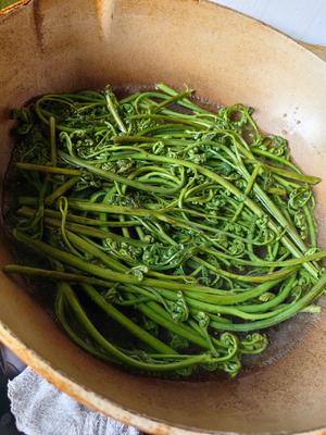 &lt;蕨菜炒肉&gt;，欣小厨 ?