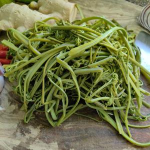 &lt;蕨菜炒肉&gt;，欣小厨 ?
