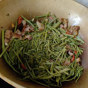 &lt;蕨菜炒肉&gt;，欣小厨 ?