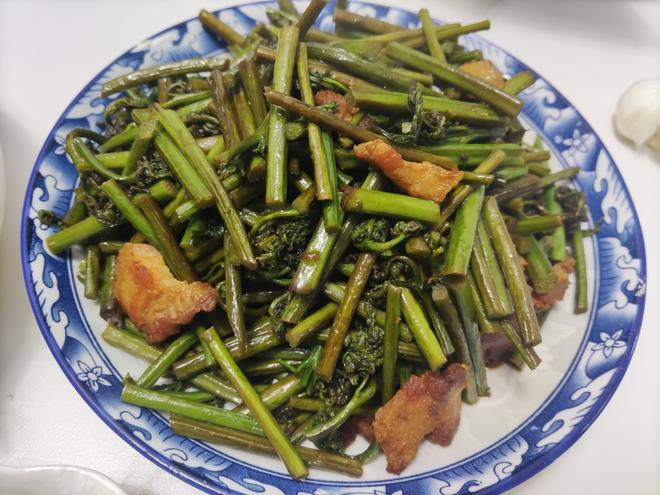 肉炒蕨菜