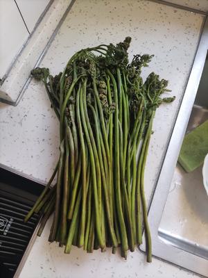 肉炒蕨菜