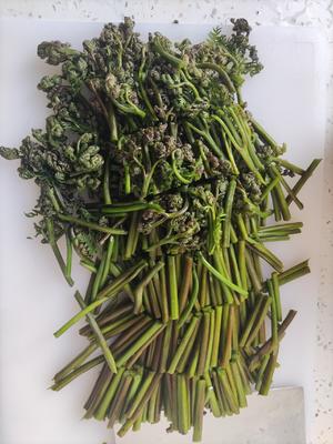肉炒蕨菜