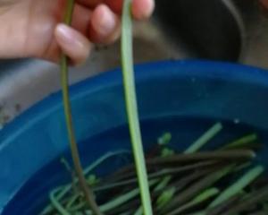 蕨菜炒五花肉