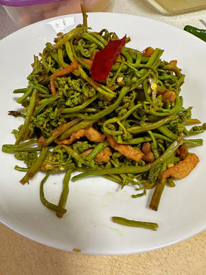 炒蕨菜