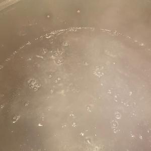 【食在春天】蕨菜三吃-炒，晒，拌