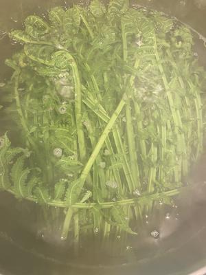 【食在春天】蕨菜三吃-炒，晒，拌