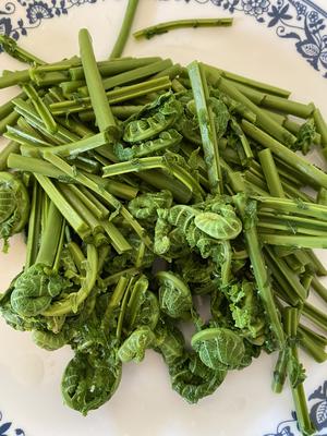 【食在春天】蕨菜三吃-炒，晒，拌