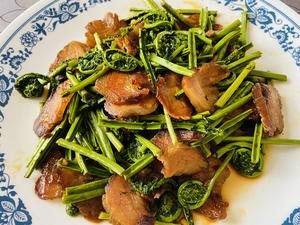 【食在春天】蕨菜三吃-炒，晒，拌