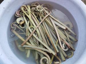 蕨菜的处理方法