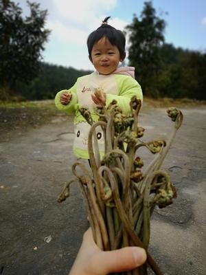 蕨菜炒腊肉