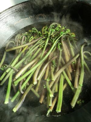蕨菜炒腊肉