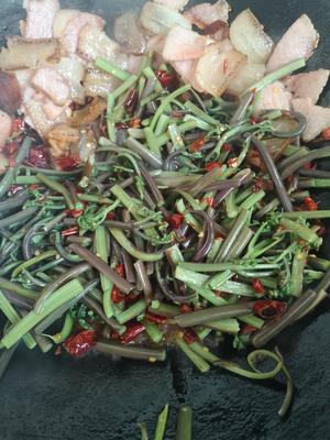 蕨菜炒腊肉