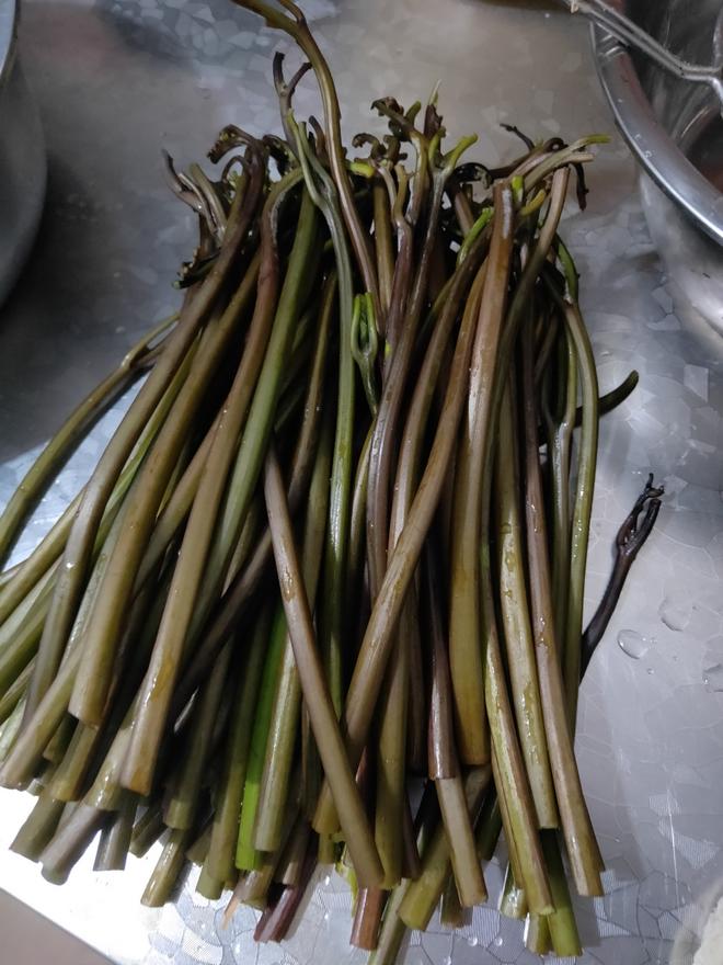 蕨菜处理方法
