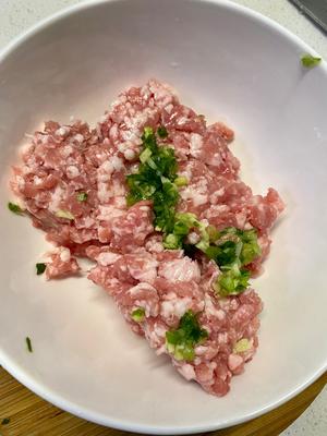 春天的味道 马兰头馄饨