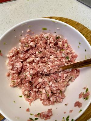 春天的味道 马兰头馄饨