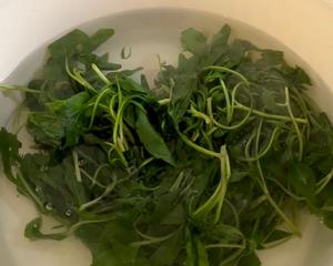 笋丁马兰