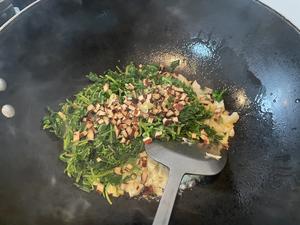 笋丁马兰