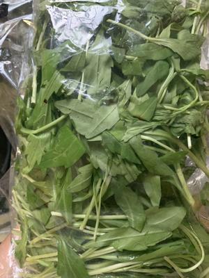 厨房新手入门级：清炒马兰头（超级快手菜）
