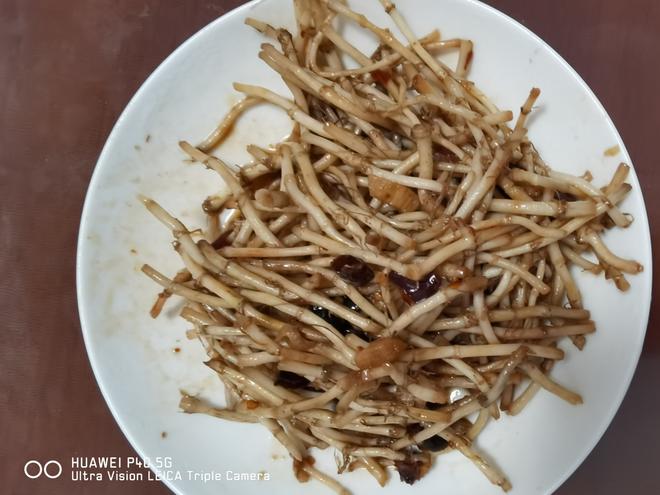 鱼腥草