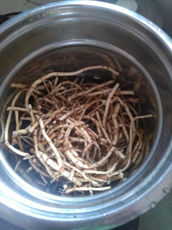 鱼腥草猪尾龙姜片汤