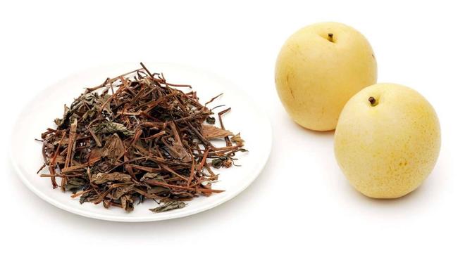 突然干咳、热咳——鱼腥草梨皮水