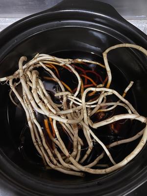 风热感冒消炎止咳鱼腥草罗汉果汤