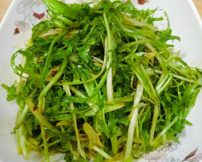 凉拌苦菊菜（酸甜版）