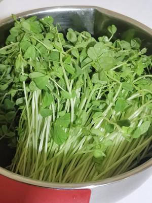 脆爽凉拌豌豆苗?‖今日食春?（佐日式碎鸡饭）