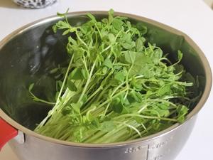 脆爽凉拌豌豆苗?‖今日食春?（佐日式碎鸡饭）