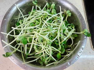 白灼豌豆苗