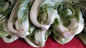 昆明传统水腌菜（苦菜外地叫芥菜）