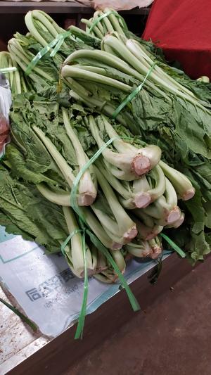 昆明传统水腌菜（苦菜外地叫芥菜）