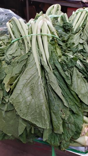 昆明传统水腌菜（苦菜外地叫芥菜）