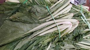 昆明传统水腌菜（苦菜外地叫芥菜）