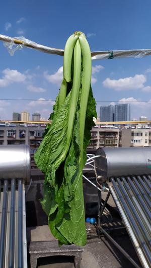 昆明传统水腌菜（苦菜外地叫芥菜）