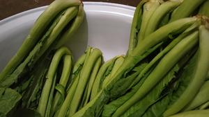 昆明传统水腌菜（苦菜外地叫芥菜）