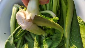 昆明传统水腌菜（苦菜外地叫芥菜）