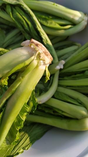 昆明传统水腌菜（苦菜外地叫芥菜）