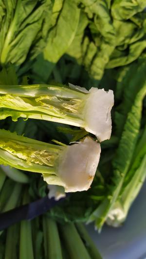 昆明传统水腌菜（苦菜外地叫芥菜）
