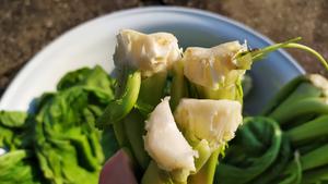 昆明传统水腌菜（苦菜外地叫芥菜）