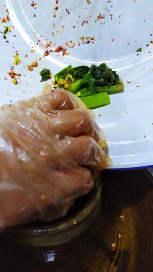 昆明传统水腌菜（苦菜外地叫芥菜）