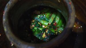 昆明传统水腌菜（苦菜外地叫芥菜）