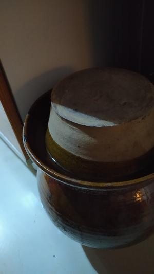 昆明传统水腌菜（苦菜外地叫芥菜）