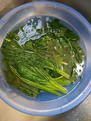 清炒翠绿芥菜