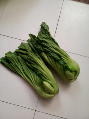 芥菜这样炒~不但不苦不涩~而且非常鲜甜美味~连小孩都喜欢吃